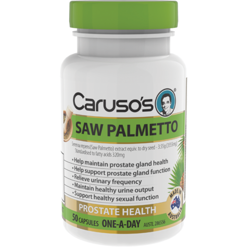 CNH Saw Palmetto 50c