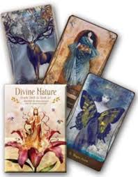 IC Divine Nature