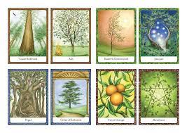 Wisdom of Trees Oracle