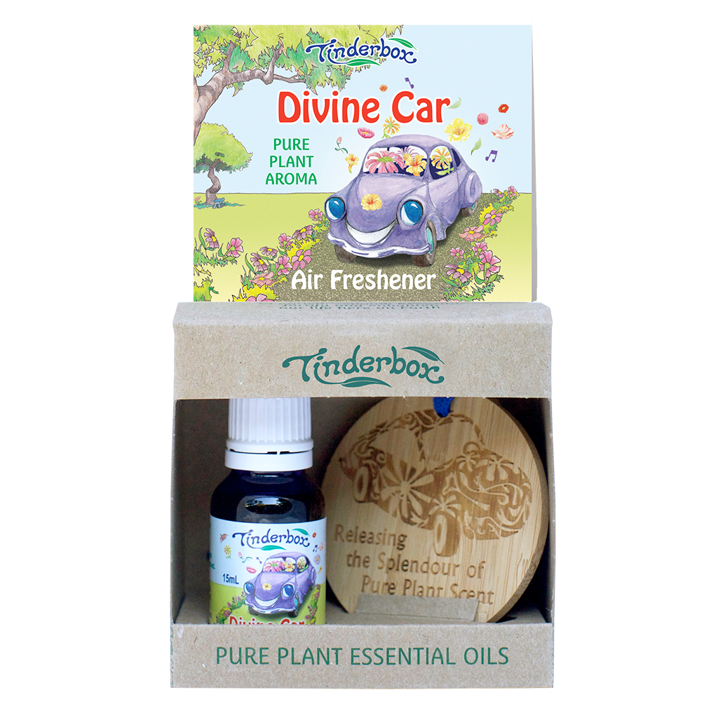 Divine Car Kit with Bamboo Disc