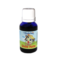 Divine Blend for the Home 15mL