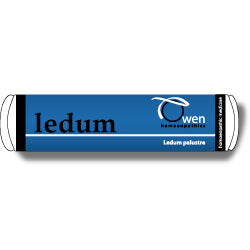 LEDUM PALUSTRE