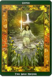IC Fairy Ring Oracle Set