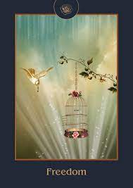 IC Angel Rose Oracle