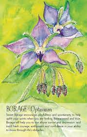 IC Soulflower Plant Spirit Oracle