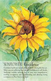 IC Soulflower Plant Spirit Oracle