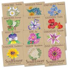 IC Soulflower Plant Spirit Oracle