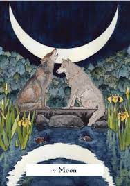 TC Witches Wisdom Tarot