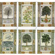IC CELTIC TREE ORACLE