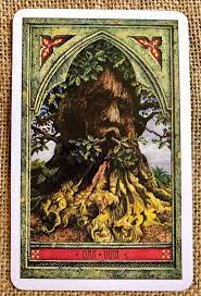Spirit of Nature Oracle, The: Ancient Wisdom from the Green Man and the Celtic Ogam Tree Alphabet
