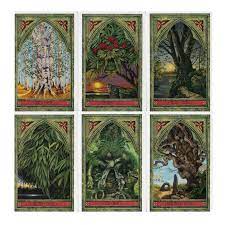Spirit of Nature Oracle, The: Ancient Wisdom from the Green Man and the Celtic Ogam Tree Alphabet
