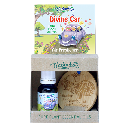 Divine Car Kit with Bamboo Disc
