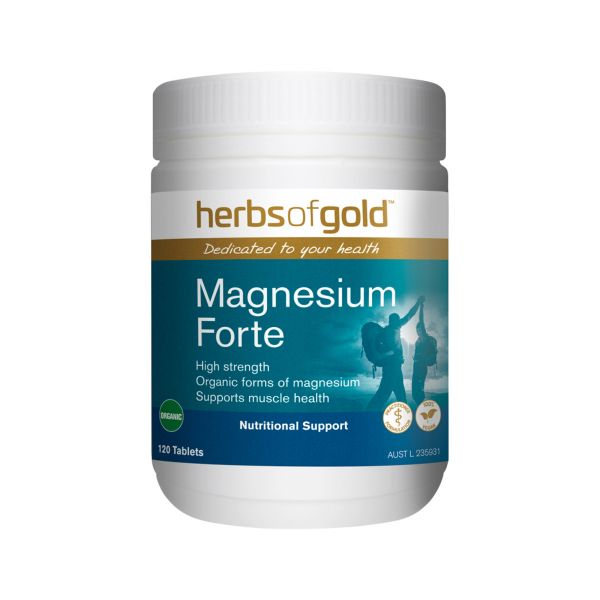 Picture of Magnesium Forte 120t