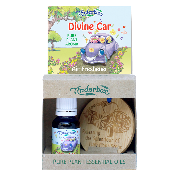Picture of Divine Car Kit with Bamboo Disc