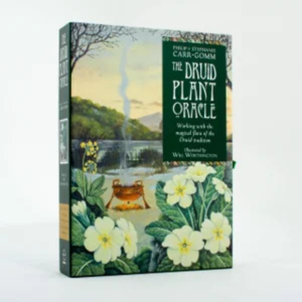 Picture of Druid Plant Oracle, The: Working with the Magical Flora of the Druid Tradition