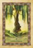 Picture of Celtic Tree Oracle Cards