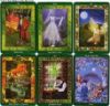 Picture of IC Fairy Ring Oracle Set