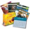 Picture of Louise Hay I Can Do It.. 2024 Calendar